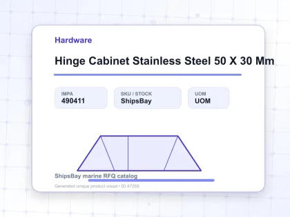 Hinge Cabinet Stainless Steel 50 X 30 Mm - Hardware - IMPA 490411