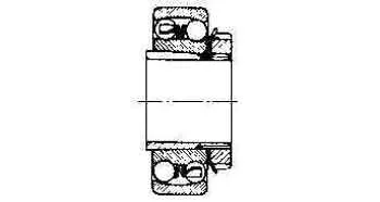 Alternate Text