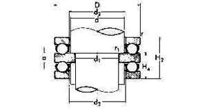 Alternate Text