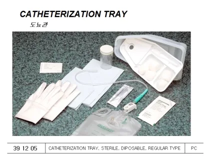 Catheterization Tray, Sterile, Diposable, Regular Type