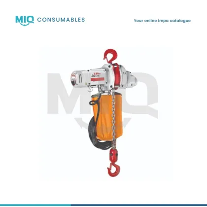 Delta Electric Chain Hoist 0.5T X 3.0 Mtr 230V 60Hz Incl. Cert.