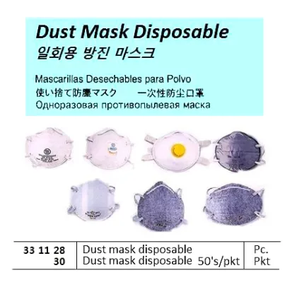 Dust Mask, Disposable