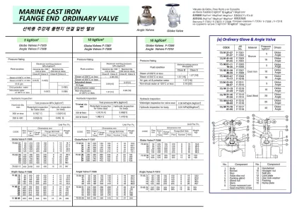 Marine Cast Iron Angle Valve, Flange End, Jis F7306, 5Kgf/Cm2, 65 Mm