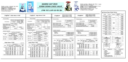 Marine Cast Iron Screwdown Check Angle Valve, Flange End, Jis F7376, 10Kgf/Cm2, 80 Mm