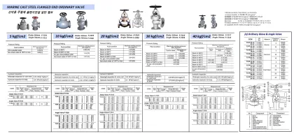Marine Cast Steel Globe Valve, Flange End, Jis F7317, 40Kgf/Cm2, 50 Mm