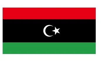 Merchant Flag 3'X 4' Bunting Libya