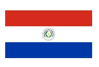 Merchant Flag 3'X 4' Bunting Paraguay