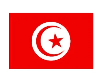 Merchant Flag 3'X 4' Bunting Tunisia