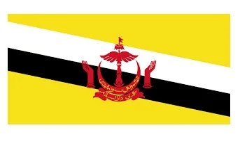 Merchant Flag 4'X 6' Bunting Brunei