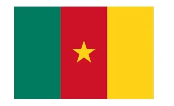Merchant Flag 4'X 6' Bunting Cameroon