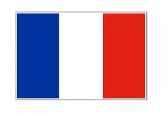 Merchant Flag 4'X 6' Bunting France