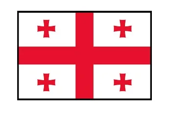 Merchant Flag 4'X 6' Bunting Georgia