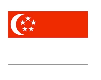 Merchant Flag 4'X 6' Bunting Singapore