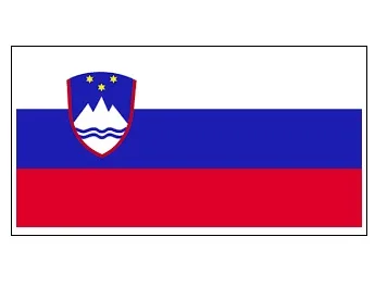 Merchant Flag 4'X 6' Bunting Slovania
