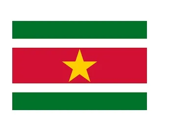 Merchant Flag 4'X 6' Bunting Suriname