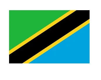 Merchant Flag 4'X 6' Bunting Tanzania