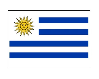 Merchant Flag 6'X 8' Bunting Uruguay