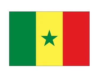 National Flag, Size :3'X 4', Senegal