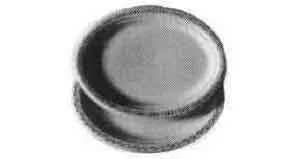 Alternate Text