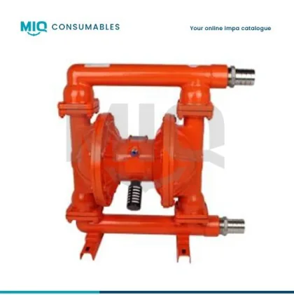 Pump Diaphragm Pneumatic Pp, 2″ 172Gpm Pd20P Xxx Xxx B
