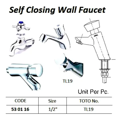 Self Closing Wall Faucet 1/2