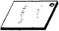 Alternate Text