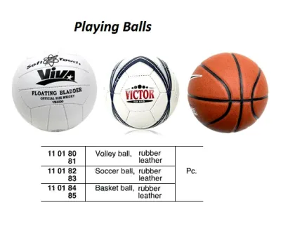 Volley Ball Leather