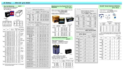 Wet Cell Battery, 12V 40 Ah, Gs N41