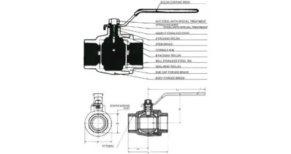 Alternate Text