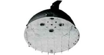 Alternate Text