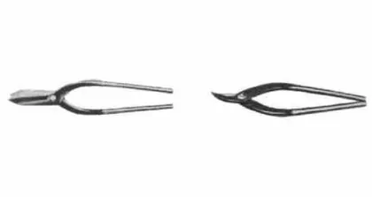 Alternate Text