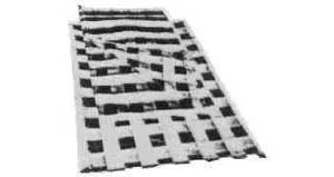 Alternate Text