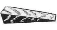 Alternate Text